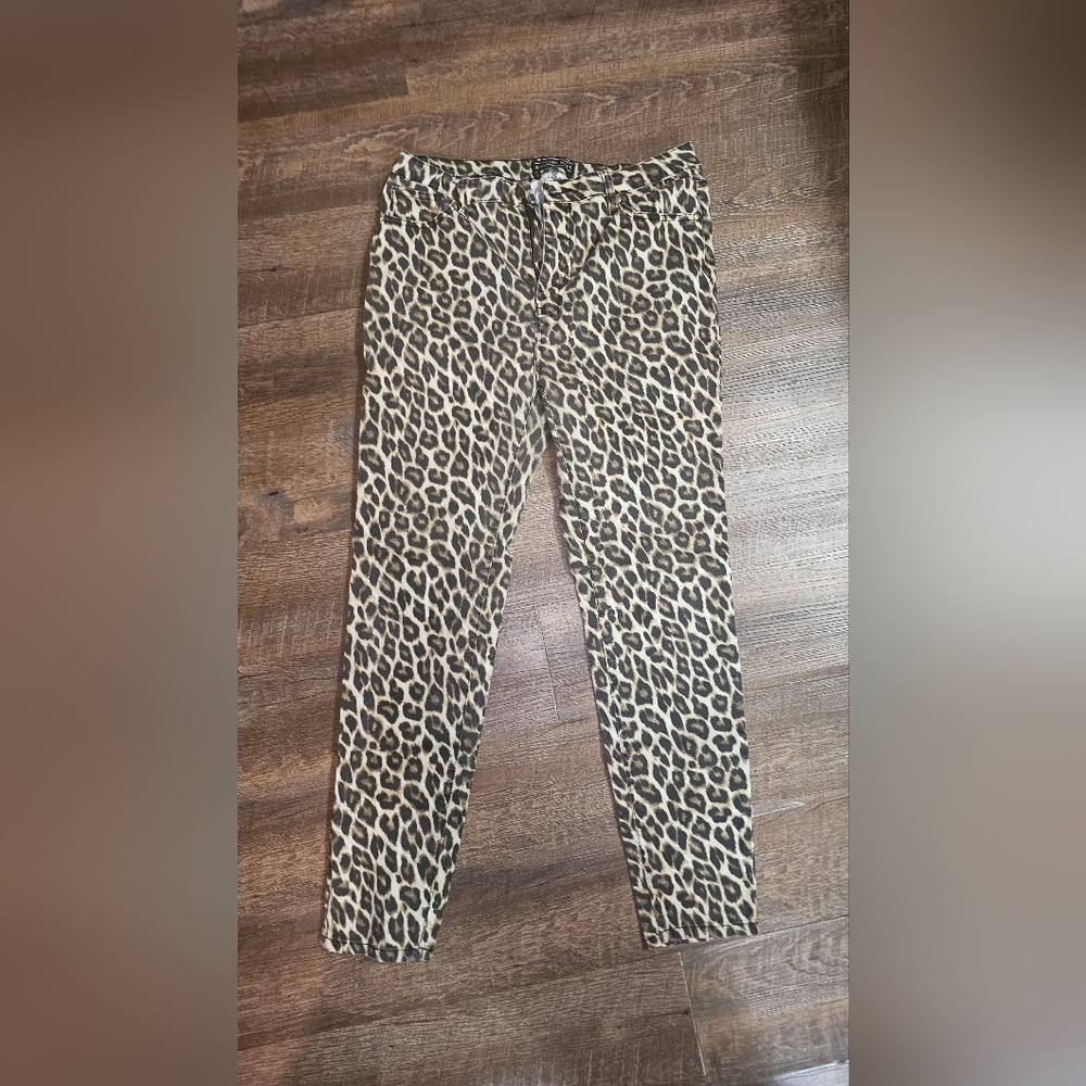 Skinny Women's Cheetah Print Pants 1X